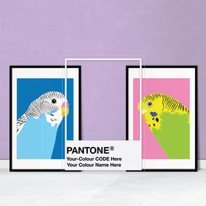 Pantone